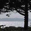 Blick auf die Ostsee